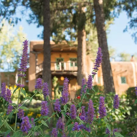 Bed & Breakfast Of The Turquoise Bear Santa Fe