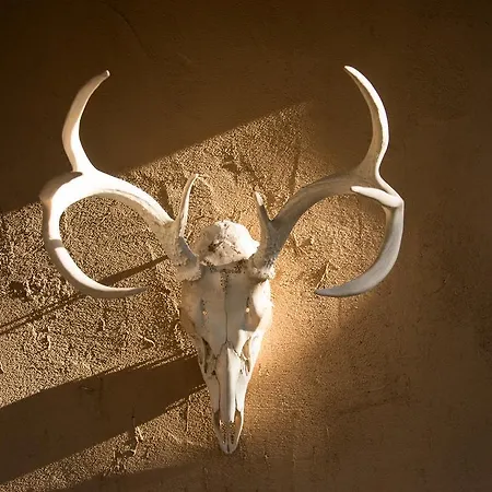 Of The Turquoise Bear Bed & Breakfast Santa Fe